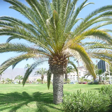 Elana Apartment With Free Wifi * Costa del Silencio