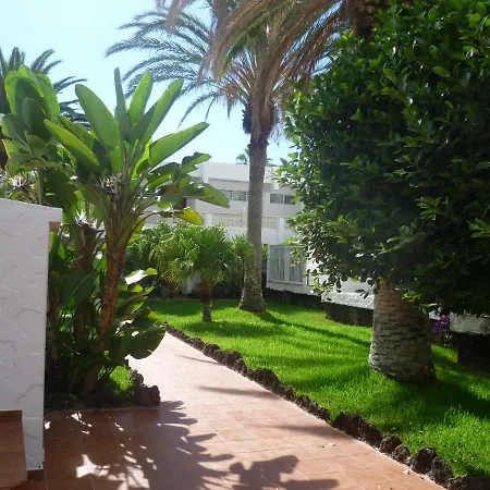 Appartement Elana With Free Wifi Costa Del Silencio