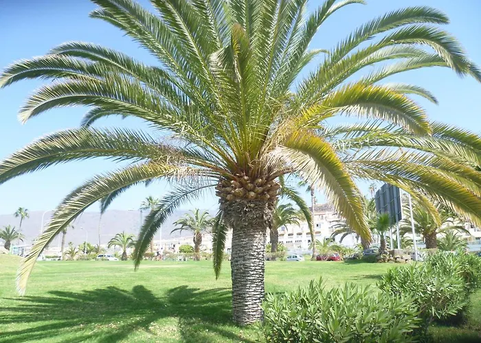 Elana With Free Wifi * Costa Del Silencio