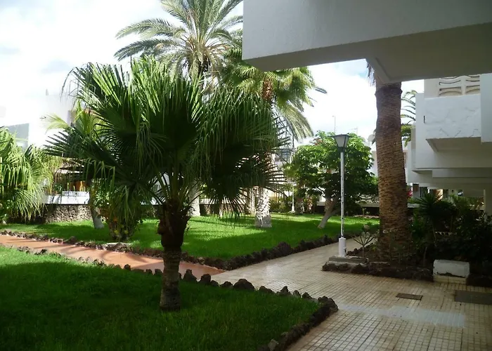 Elana Apartment With Free Wifi Costa del Silencio