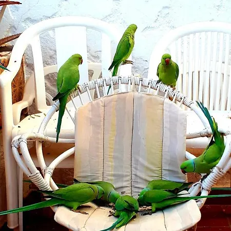 Appartement Elana With Free Wifi