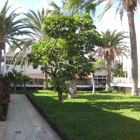 Elana With Free Wifi Appartement Costa Del Silencio