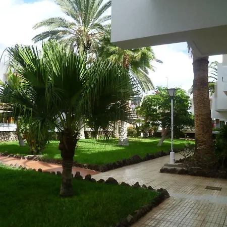 Elana Apartment With Free Wifi Costa Del Silencio