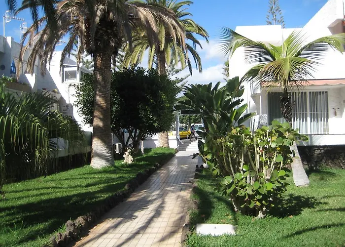 Elana With Free Wifi