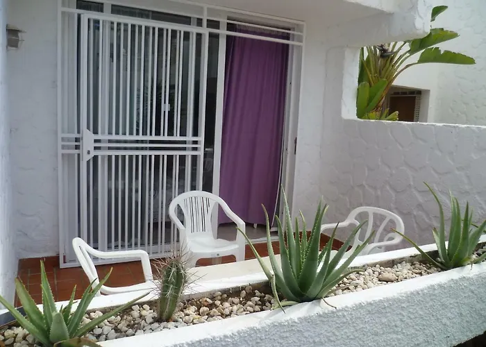 Elana With Free Wifi